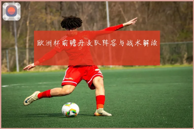 欧洲杯前瞻丹麦队阵容与战术解读