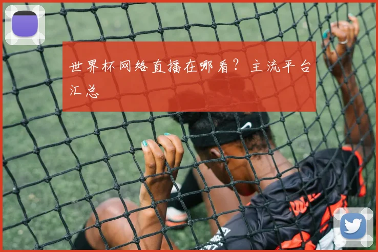 世界杯网络直播在哪看?主流平台汇总