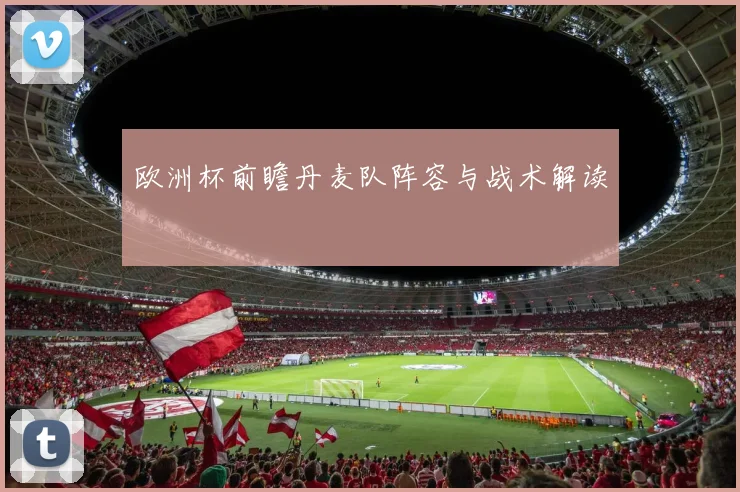 欧洲杯前瞻丹麦队阵容与战术解读